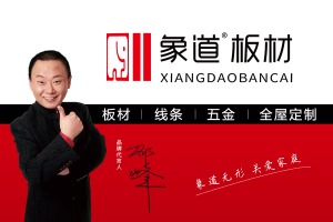 公司介绍